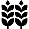 Refrained Grain Structure